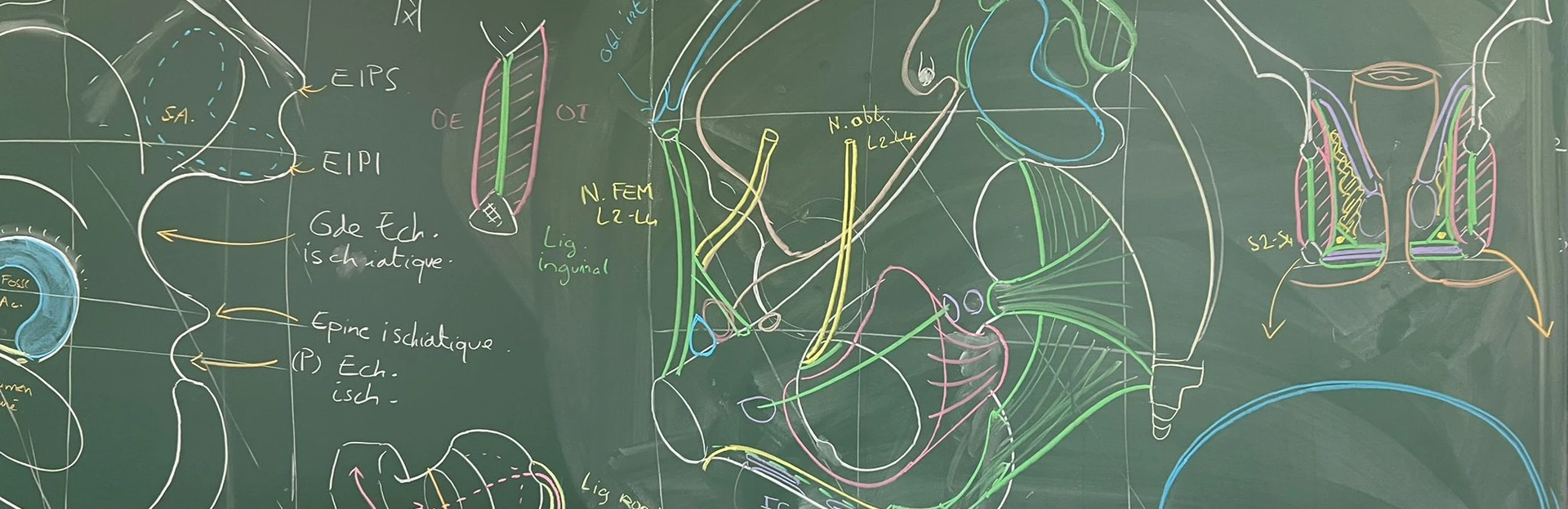 Faculte Etiopathie de Lyon 1