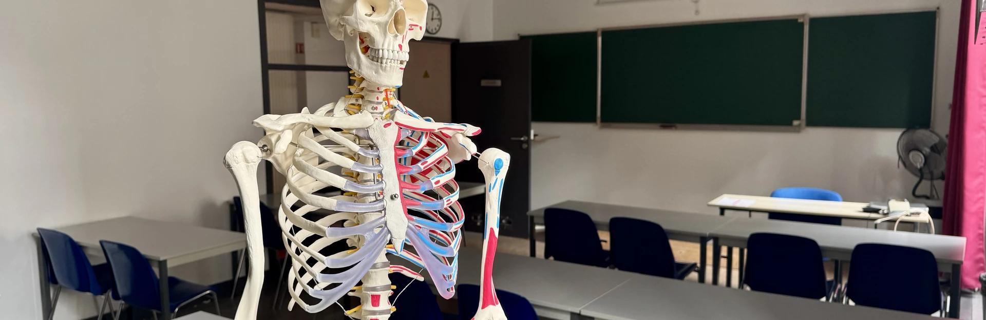 Faculte Etiopathie de Lyon 2